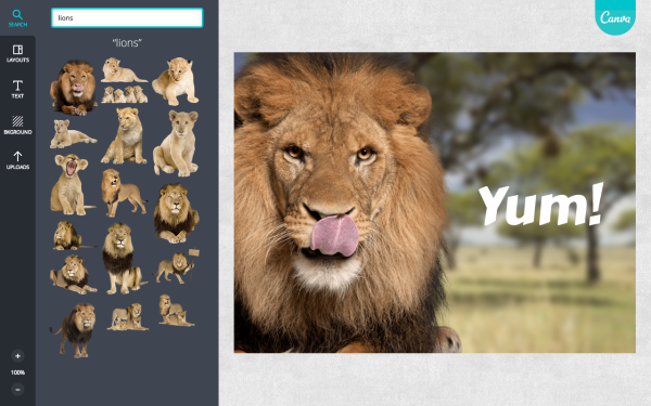 Marketing Tools for Manufacturers - Canva